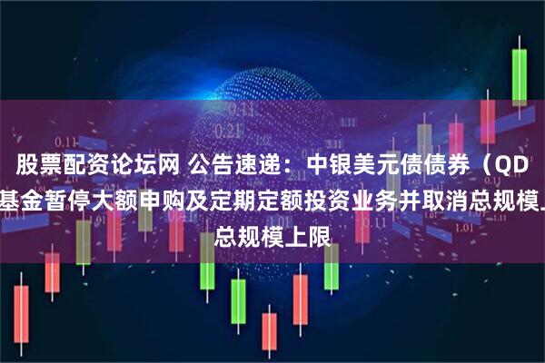 股票配资论坛网 公告速递：中银美元债债券（QDII）基金暂停大额申购及定期定额投资业务并取消总规模上限