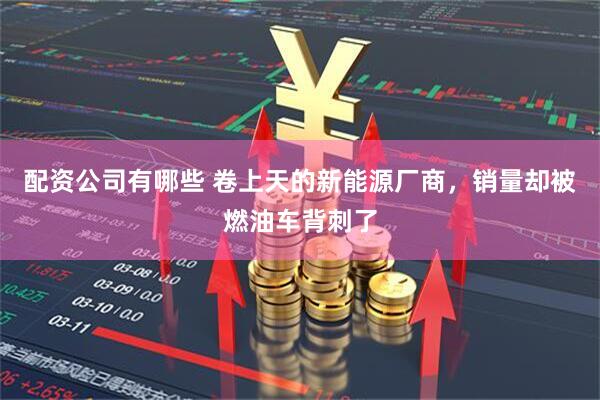配资公司有哪些 卷上天的新能源厂商，销量却被燃油车背刺了